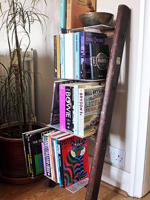 Quirky Ladder Bookshelf